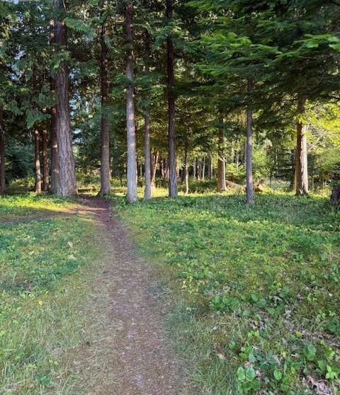 #459 Hoylake Rd W Qualicum Beach, British Columbia V9K1J5